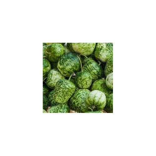 Apple Gourd Fruit Seeds for Planting [neera-v5-f9f4785d68015285efe7]