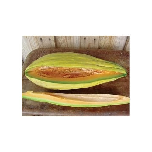 Orange Cantalupo Almizcle Melon Seeds [neera-v5-fa2e961f4f26a69f21b6]