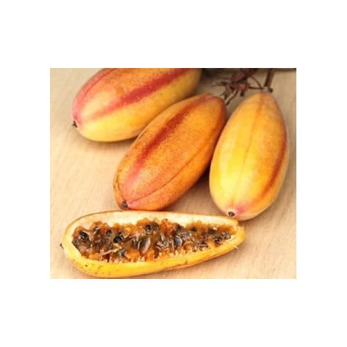 Yellow Passiflora Mollissima Fruit Seeds for Planting [neera-v5-fb35ccbf2b46cd34ee2c]