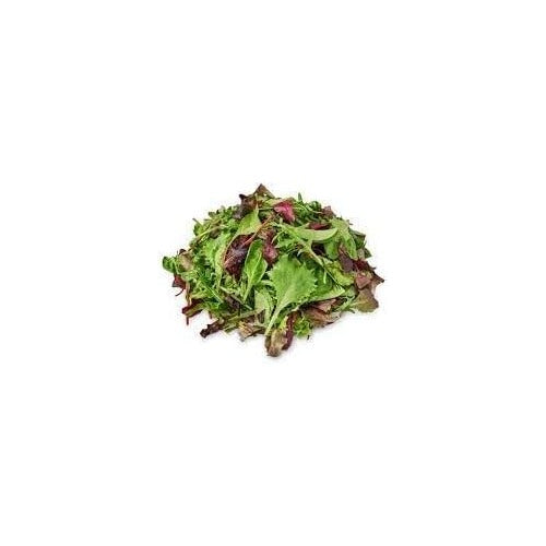 Mesclun Lettuce Seeds for Planting [neera-v5-fb3995f44c1ea91e7cde]