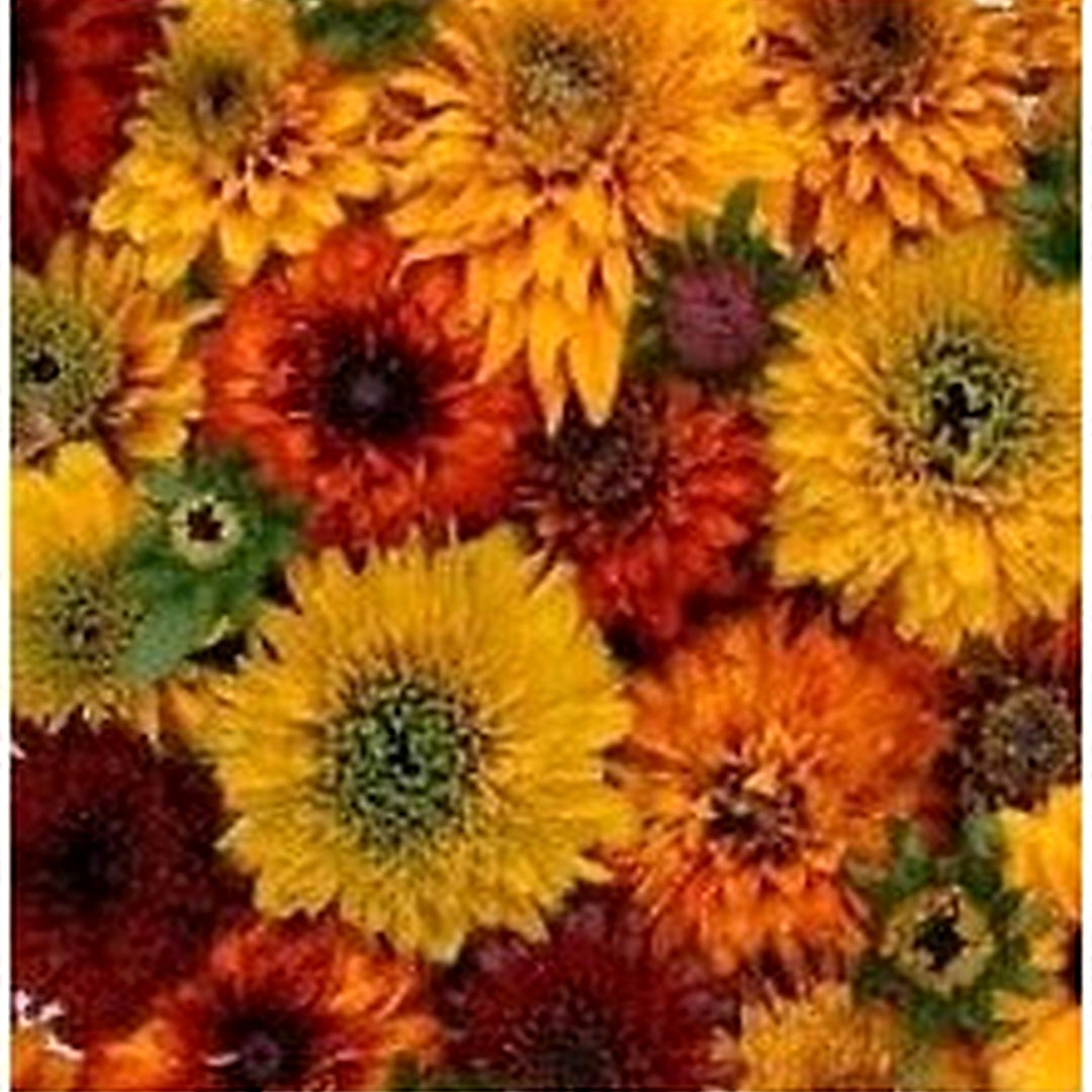 Mixed Rudbeckia Flower For Planting Flower Seeds for Home Garden Planting, Decorative Organic [neera-v5-fb4879635c4e783da9f2]