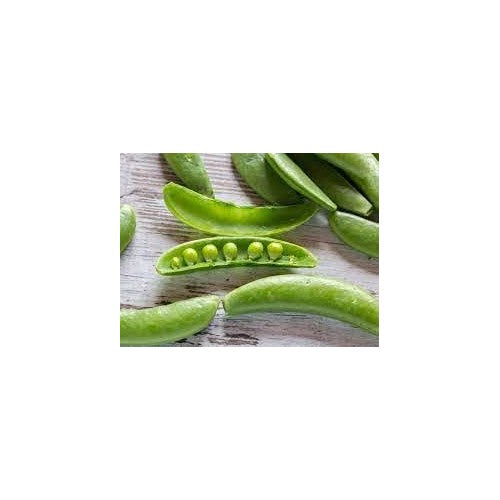 Pea Vegetable Seeds for Planting | Heirloom Non-GMO Organic Garden Seeds [neera-v5-fb654d6eb2c25dfaaf4a]