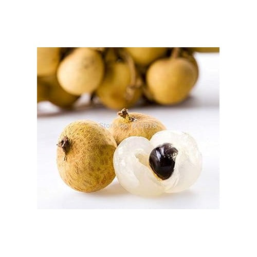 Dragon’s Eye Fruit Seeds for Planting [neera-v5-fca117a8b8c91135f405]
