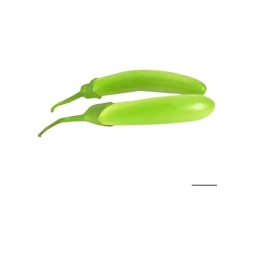 Green Eggplant Seeds for Planting [neera-v5-fcd63d4e81fe697a2b23]
