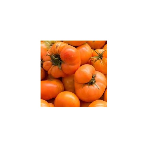 Heirloom Orange Giant Hybrid Tomato Vegetable Seeds [neera-v5-fd05dbedfbc3b1066bac]