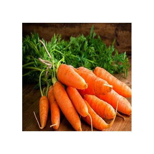 Orange Carrot Seeds for Planting | Heirloom, Non-GMO, High Germination Organic Garden Seeds [neera-v5-fd40e670f497bb8087c2]