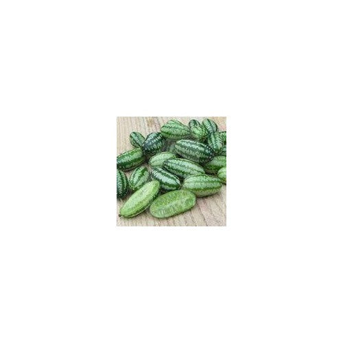 Cucamelon Fruit Seeds for Planting [neera-v5-fd4e7e3f2344dfa18085]