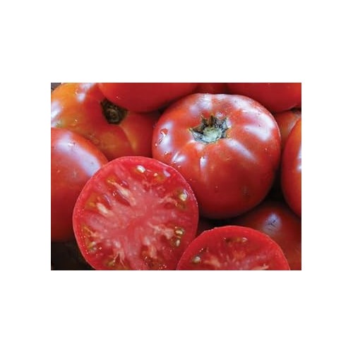 Cosmonaut Volkov Tomato Seeds for Planting [neera-v5-fdab81d1a4e494853795]