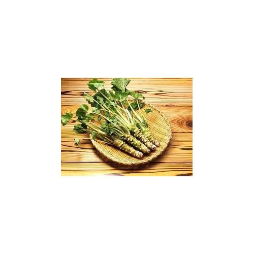 Horseradish Herb Seeds [neera-v5-fe07be641af96e51f07d]
