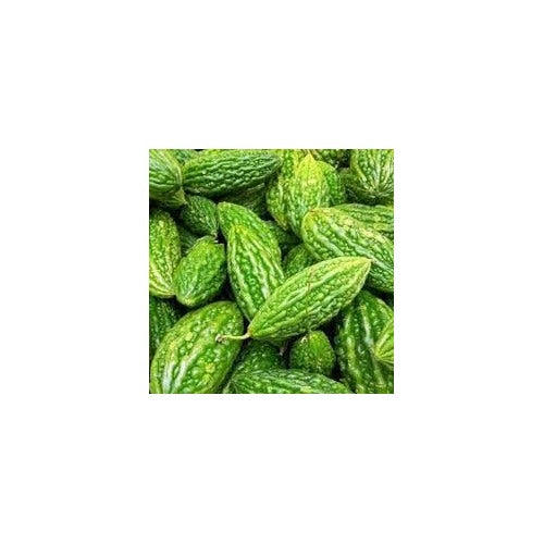 Lettuce Plant Seeds for Planting [neera-v5-fe181e1b002ffab0fdce]