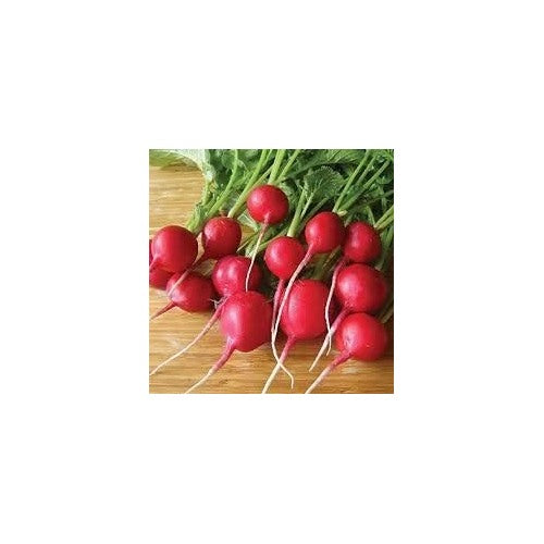 Rainbow Radish Seeds for Planting (Red) [neera-v5-fe652f53758b2759546e]