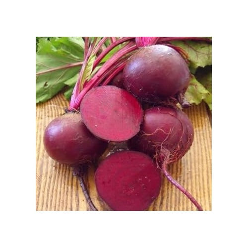 Violet Beetroot Seeds for Planting [neera-v5-fe782cbb4b19381c9fa8]