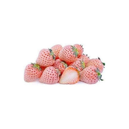 Bright Orange Strawberry Fruit Seeds [neera-v5-fe8346fae0996a0cc72e]