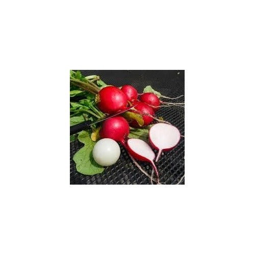 Heirloom Red Radish Vegetable Seeds for Planting [neera-v5-fea140668a055c60a6f5]