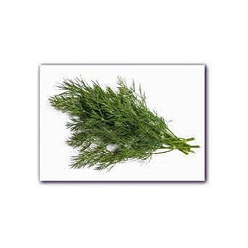Brown Dill Grain Plant Seeds for Planting [neera-v5-feb15d4744d68a4f3556]