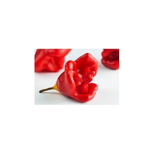 Aka Chapeau Pepper Vegetable Seeds for Planting [neera-v5-ff012ba633b7d8267c7c]