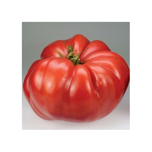 Heirloom Red Tomato Seeds for Planting [neera-v5-ff6429704e6579b714ae]