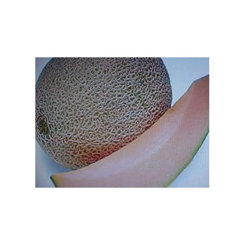 Brown Cantaloupe Melon Fruit Seeds for Planting [neera-v5-ffa1b26d4b674e4355b0]