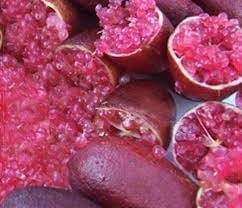 Nutmeg Myristica Seeds for Aromatic and Spicy Harvests