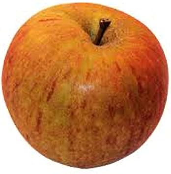 Orange Apple Fruit Seeds