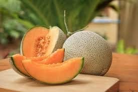Orange Cantaloupe Melon Fruit Seeds