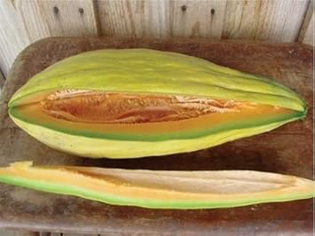 Orange Cantalupo Almizcle Melon Seeds