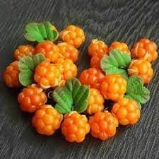 Orange Cloudberry Fruit Seeds for Planting