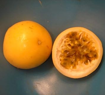 Orange Passion Fruit Seeds for Planting