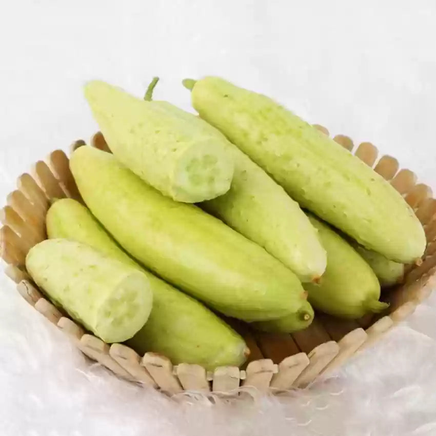 Organic Cucumber Peach or White Seeds for Planting