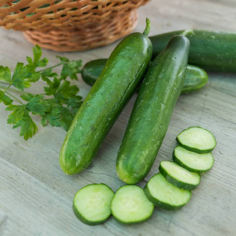 Organic Mini La Diva Cucumber Seeds for Planting