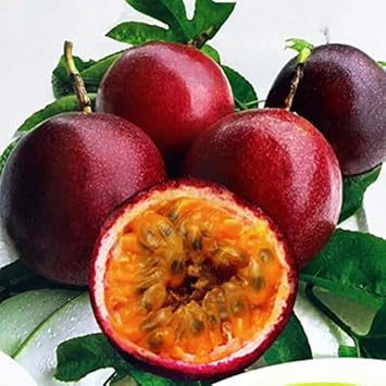 Passiflora Edulis Passion Fruit Seeds for Planting