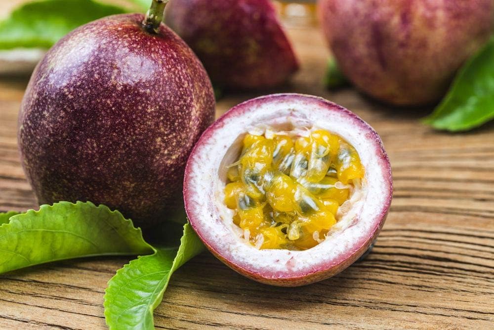 Passiflora edulis Passion Fruit Seeds for Planting