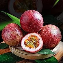 Passion Fruit Seeds for Planting