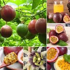 Passion Fruit Seeds for Planting