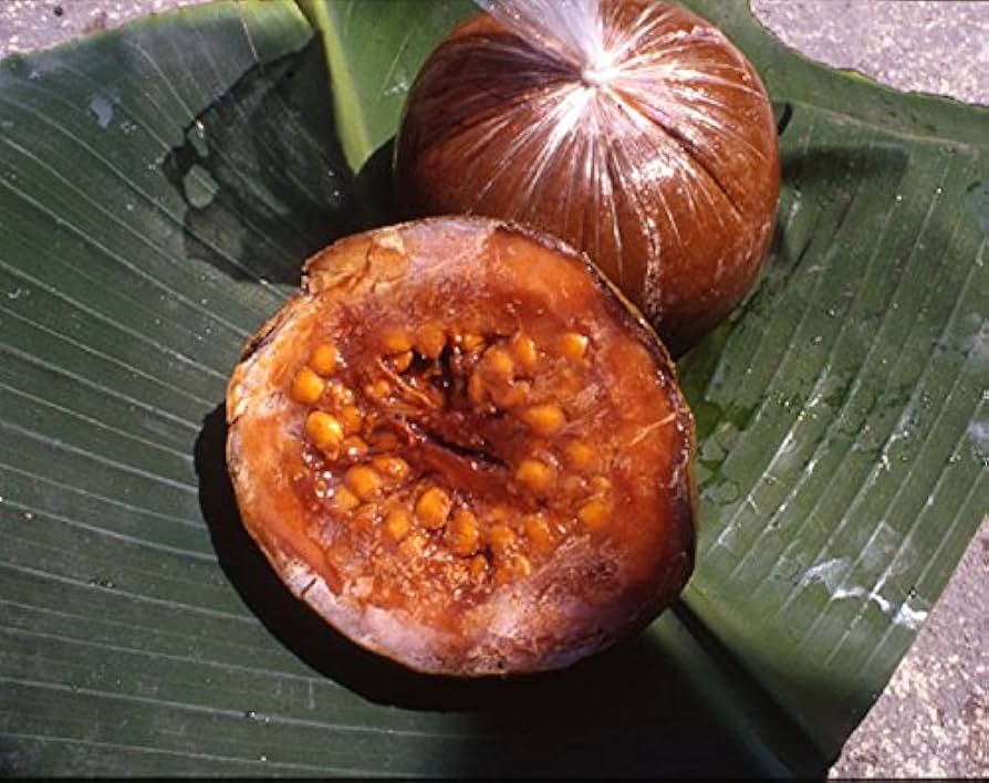 Patinoi Borojoa Seeds