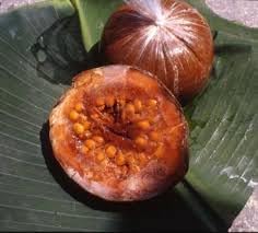 Patinoi Borojoa Seeds
