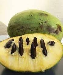 Pawpaw Fruit Seeds for Planting