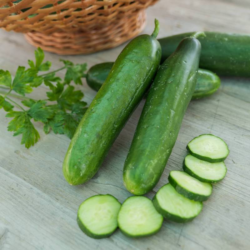 Organic Mini La Diva Cucumber Seeds, Vegetable Seeds for Planting