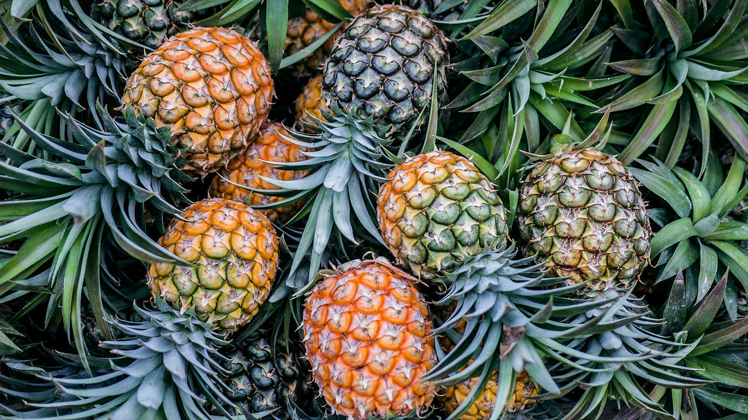 Orange-grønne ananas frugtfrø - perfekt til iøjnefaldende haveskærme 100 stk.