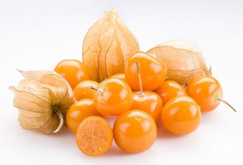 Physalis Fruit Seeds for Growing Tangy and Nutrient-Rich Berries  100 pcs