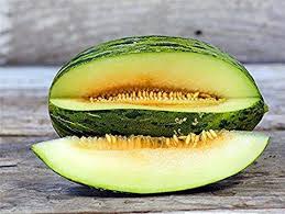 Piel de Sapo Muskmelon Fruit Seeds
