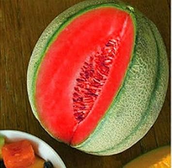 Pink Cantaloupe Fruit Seeds for Planting