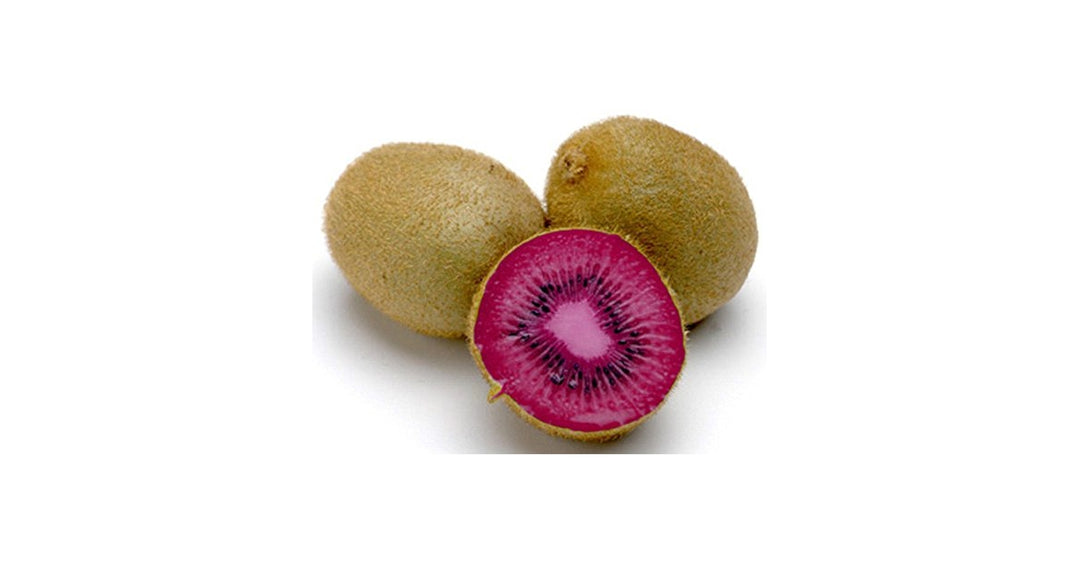 Pink Kiwi Fruit Seeds for Planting