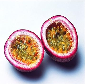 Pink Passion Fruit Seeds for Planting