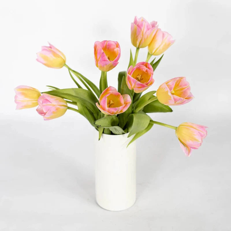 Pink Yellow Tulip Flower Seeds 100 pcs