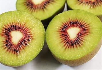 Pomelo Fruit Seeds for Planting
