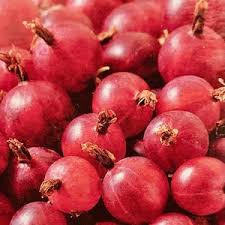 Poorman Red Gooseberry Tree Seeds for Planting