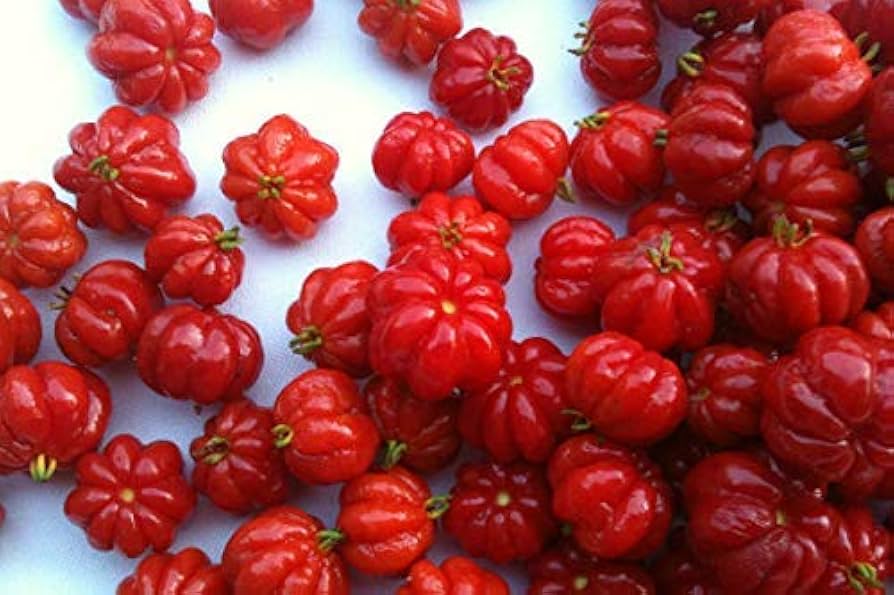 Portal Cool Pitanga Fruit Seeds