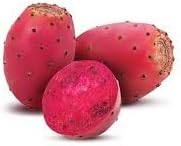Prickly Pear Fruit Seeds for Planting