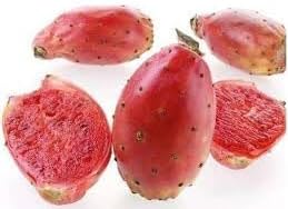 Prickly Pear Fruit Seeds for Planting
